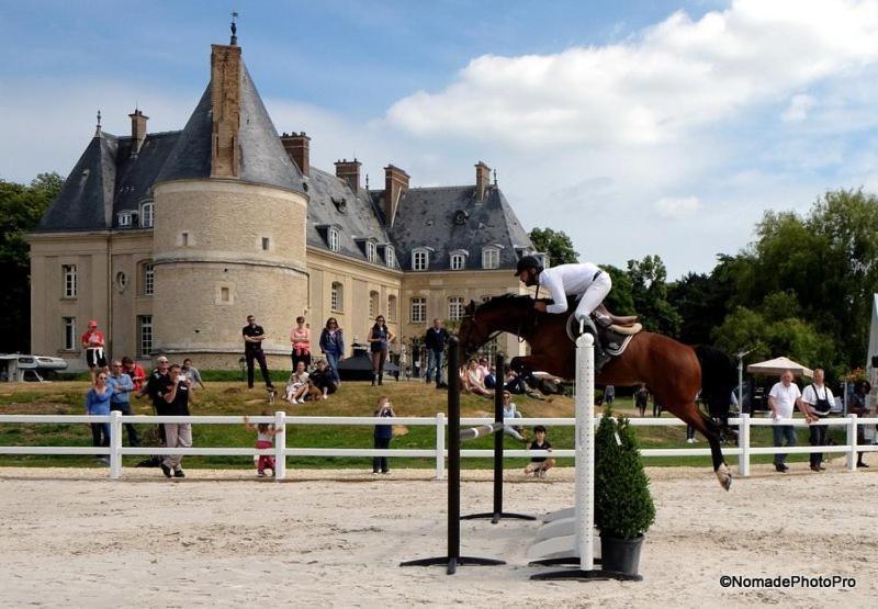 Chateau De Berticheres شومو-أون-فيكسا المظهر الخارجي الصورة