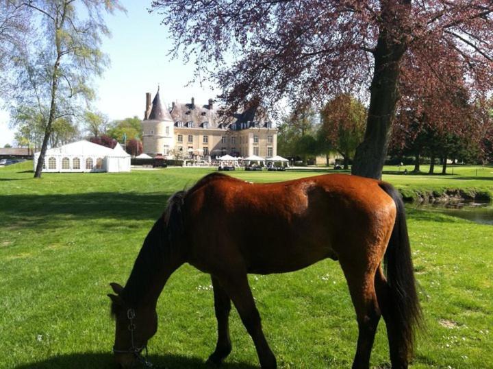 Chateau De Berticheres شومو-أون-فيكسا المظهر الخارجي الصورة